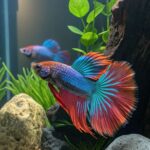 10 Colorful Tropical Fish to Brighten Up Your Aquarium