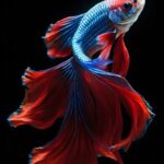 5 Ways to Know Your Fish Are Happy and Healthy